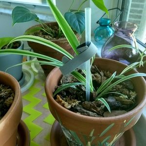 Meet your Posher, Mel